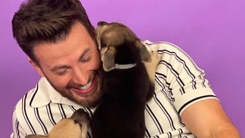 Watch Chris Evans Get Swarmed by Puppies in the 'Best Interview of My Life'